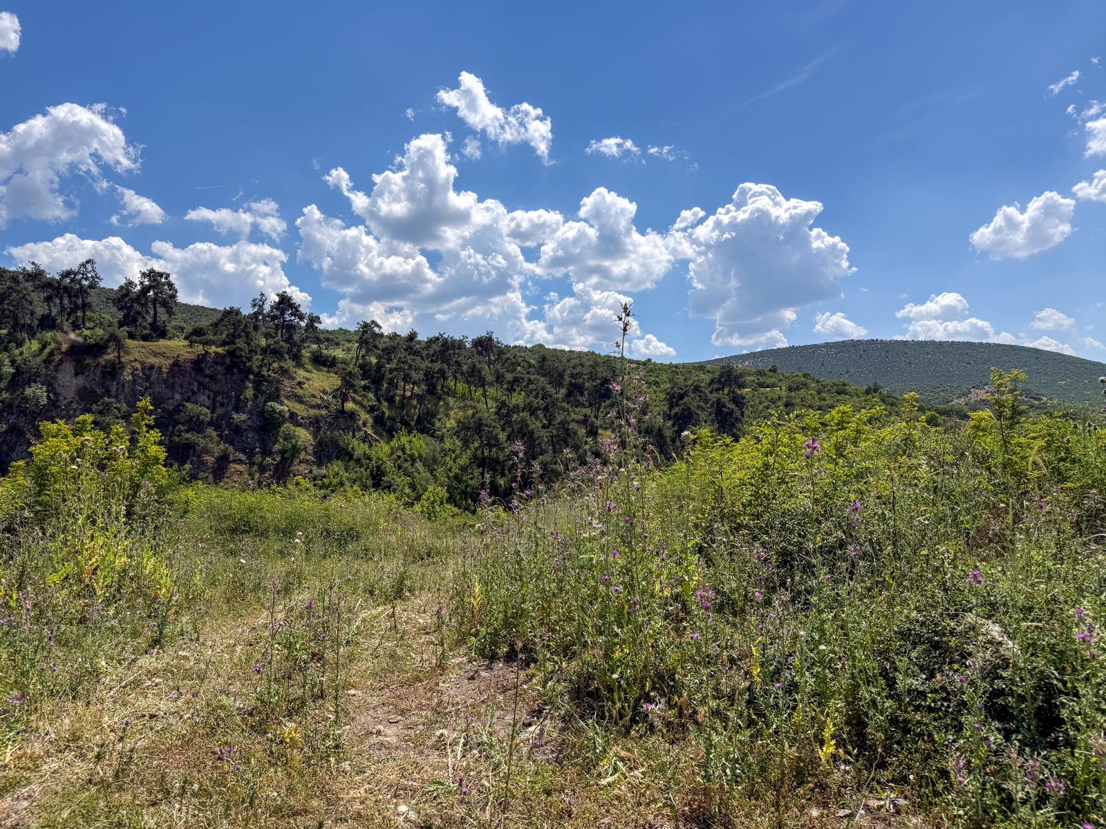 BALIKESİR -KEPSUT %50 İMARLI ARSALAR - Fotoğraf 1